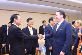 Vicepremier vietnamita recibe a embajadores holandés y estadounidense