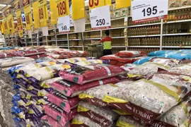 Ventas de arroz de Tailandia podrían superar ocho millones de toneladas
