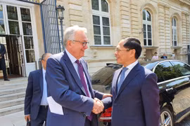 Vietnam concede al desarrollo de nexos de cooperación con Francia, afirma canciller 