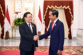 Vietnam atesora asociación estratégica con Indonesia, afirma presidente parlamentario