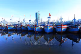 Provincia vietnamita de Binh Dinh refuerza combate contra pesca ilegal 