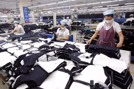 Vietnam y Austria poseen mayor espacio en cooperación comercial
