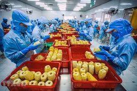 Fuerte aumento de las exportaciones vietnamitas a Estados Unidos en febrero de 2023