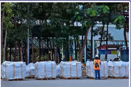 Empresa vietnamita por exportar primer lote de cemento al mercado estadounidense