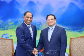 Premier vietnamita recibe al canciller de Malasia