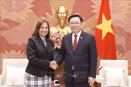 Vietnam-Cuba: Amistad especial cultiva el futuro
