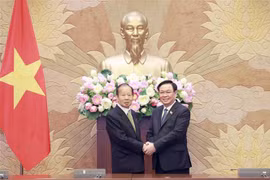 Vietnam y Japón estrechan cooperación legislativa 