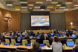 Vietnam apoya ampliación del Consejo de Seguridad de ONU