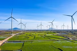 Vietnam por ampliar escala de la economía verde a 300 mil millones de dólares para 2050