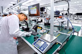 Vietnam, un mercado prometedor para empresas checas en Sudeste Asiático