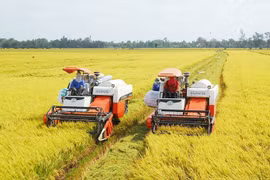Vietnam se orienta hacia una agricultura orgánica