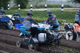 Tailandia se esfuerza por innovar en agricultura