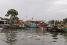Provincia vietnamita eleva conciencia de pescadores sobre lucha contra la pesca ilegal