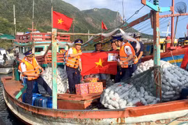 Vietnam activo en lucha contra la pesca ilegal