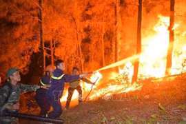 Premier exhorta a adoptar medidas preventivas contra incendios forestales