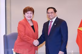 Primer ministro de Vietnam se reúne con dirigentes del FMI y la OCDE
