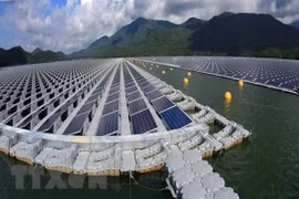 Empresas europeas buscan invertir en desarrollo económico verde en Vietnam