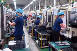 Número de nuevas empresas en Vietnam se reduce casi 17 por ciento