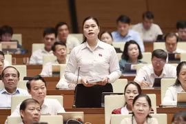 Diseña Vietnam paquete de asistencia a trabajadores en situación difícil