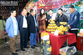 Celebran en ciudad vietnamita festival de productos agrícolas