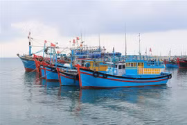 Provincias vietnamitas preparadas para inspección de CE sobre lucha contra IUU