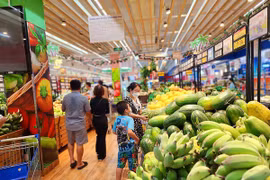 Rebaja de IVA conduce a reducción de precios de muchos productos