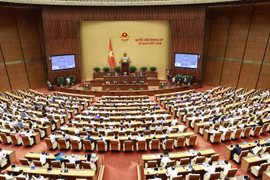 Parlamento vietnamita interpela sobre asuntos de ciencia-tecnología y transporte