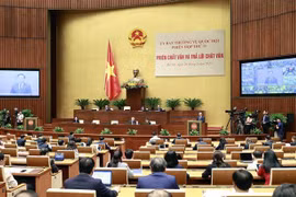 Parlamento vietnamita realiza interpelaciones sobre asuntos jurídicos