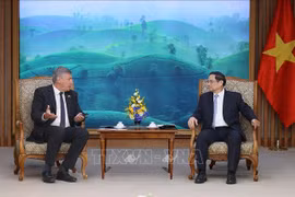Vietnam busca fortalecer la cooperación integral con Bélgica, afirma premier