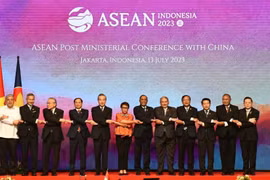 Vietnam por construir una diplomacia integral y moderna