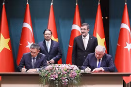 Vietnam Airlines y Turkish Airlines amplían cooperación en transporte de carga