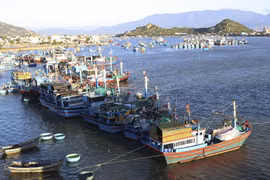 Por un desarrollo sostenible de la pesca