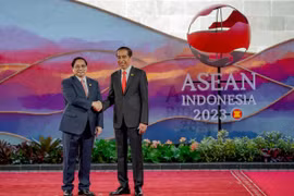Vietnam e Indonesia por intensificar relaciones bilaterales 