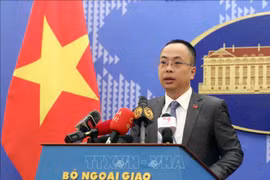 Vietnam alienta acciones prácticas para superar secuelas de guerra 