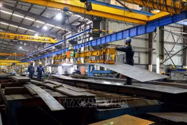 Resaltan relaciones de cooperación entre Vietnam y Canadá