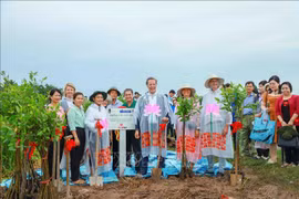 Can Tho planta mil alcornoques para evitar la erosión de las riberas de ríos