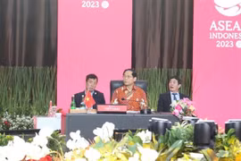 Llama Vietnam a garantizar eficiencia de mecanismos dirigidos por ASEAN