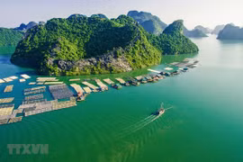 Ciudad vietnamita por mejorar calidad de productos turísticos