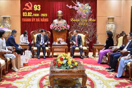 Ciudad vietnamita de Da Nang empeñada en atraer inversión extranjera