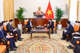 Vietnam y Egipto aspiran a elevar el comercio bidireccional a mil millones de dólares