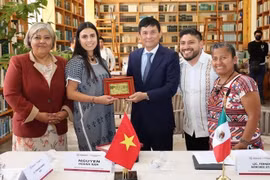 Vietnam busca oportunidades de cooperación con localidad mexicana