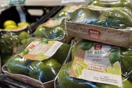 Exportaciones de productos agrícolas de Vietnam a UE alcanzan crecimiento impresionante