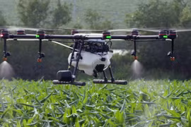 Hanoi fomenta uso de drones al servicio de producción agrícola