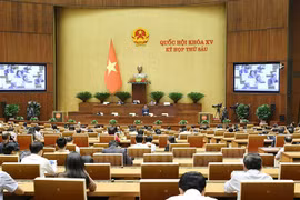 Parlamento vietnamita aprueba importantes proyectos de leyes