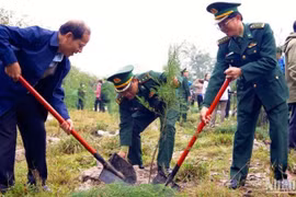 Lanzan en zona fronteriza vietnamita movimiento de siembra de árboles