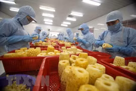 Comercio Vietnam - Laos reporta redución del 27,3 por ciento