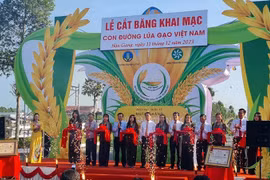 Inauguran exposición Ruta del arroz de Vietnam