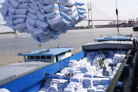 Vietnam espera exportar siete millones de toneladas de arroz este año