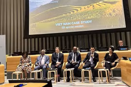 Reiteran consideración al PNUD como socio importante de Vietnam