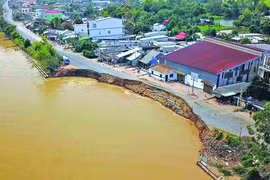 Evalúan erosiones ribereñas y costeras en provincias del delta del Mekong